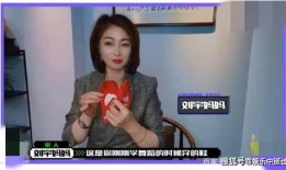 娟宝爆料视频大全集最新,揭秘娱乐圈幕后真相